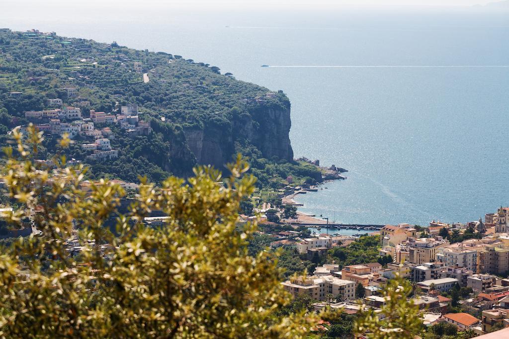 L'ulivo Vico Equense